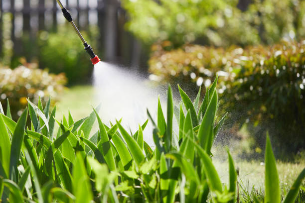 Tamper-Resistant Bait Stations for Rodents in South Floral Park